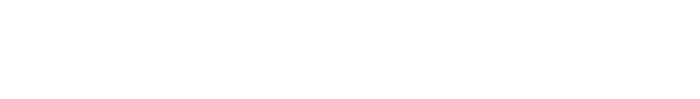 IA Developers